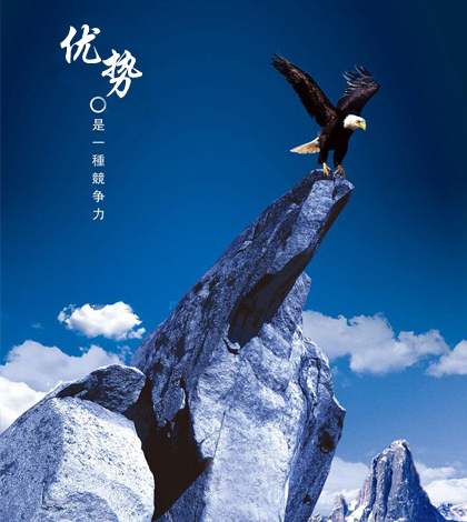 不銹鋼繩網